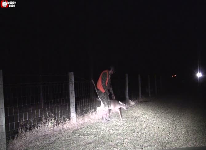 Video :He rescues a doe that is stuck in a fence